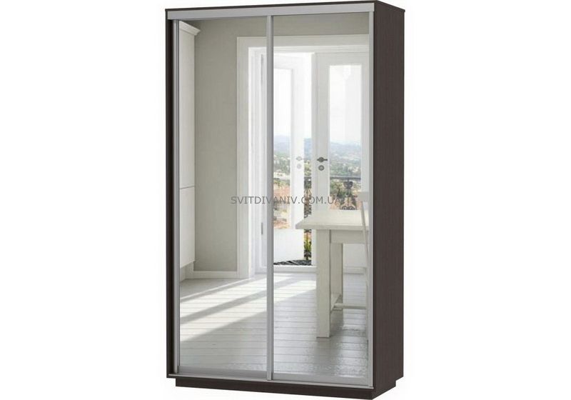 Шкаф купе две двери зеркало - купить Шкаф купе две двери зеркало