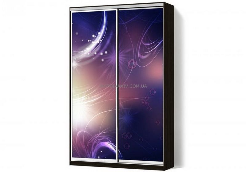 Шкаф купе двухдверный с рисунком - купить - 4 Шкаф купе двухдверный с рисунком - 4