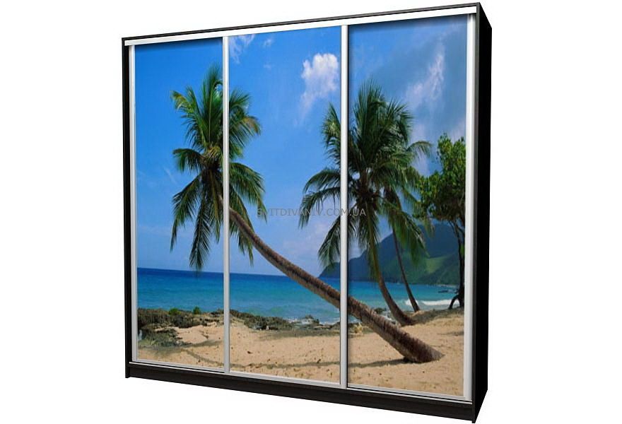 Шкаф купе трехдверный с рисунком - купить - 6 Шкаф купе трехдверный с рисунком - 6